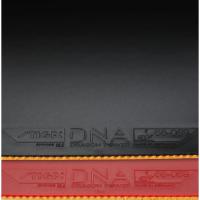 DNA Dragon Power 52.5