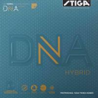 DNA Hybrid H