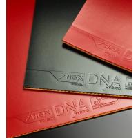 DNA Hybrid H