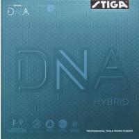 DNA Hybrid M