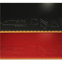 DNA Platinum H