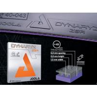Dynaryz ZGR