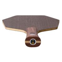 STIGA DESTINY CARBON CYBERSHAPE